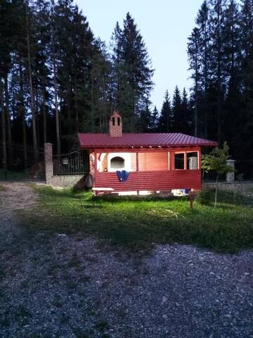 Фото номера Дом для отпуска Дома для отпуска Casa de vacanța г. Пырыул-Рече 99