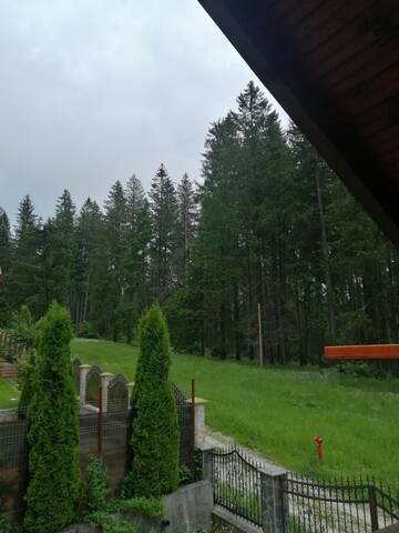 Фото номера Дом для отпуска Дома для отпуска Casa de vacanța г. Пырыул-Рече 3